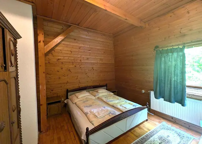 In - Velence-see 20604 *